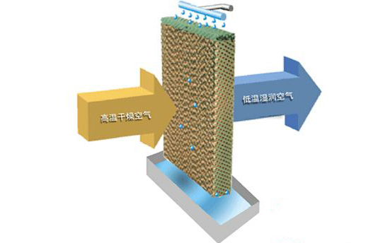 15231780414109.jpg 15.jpg